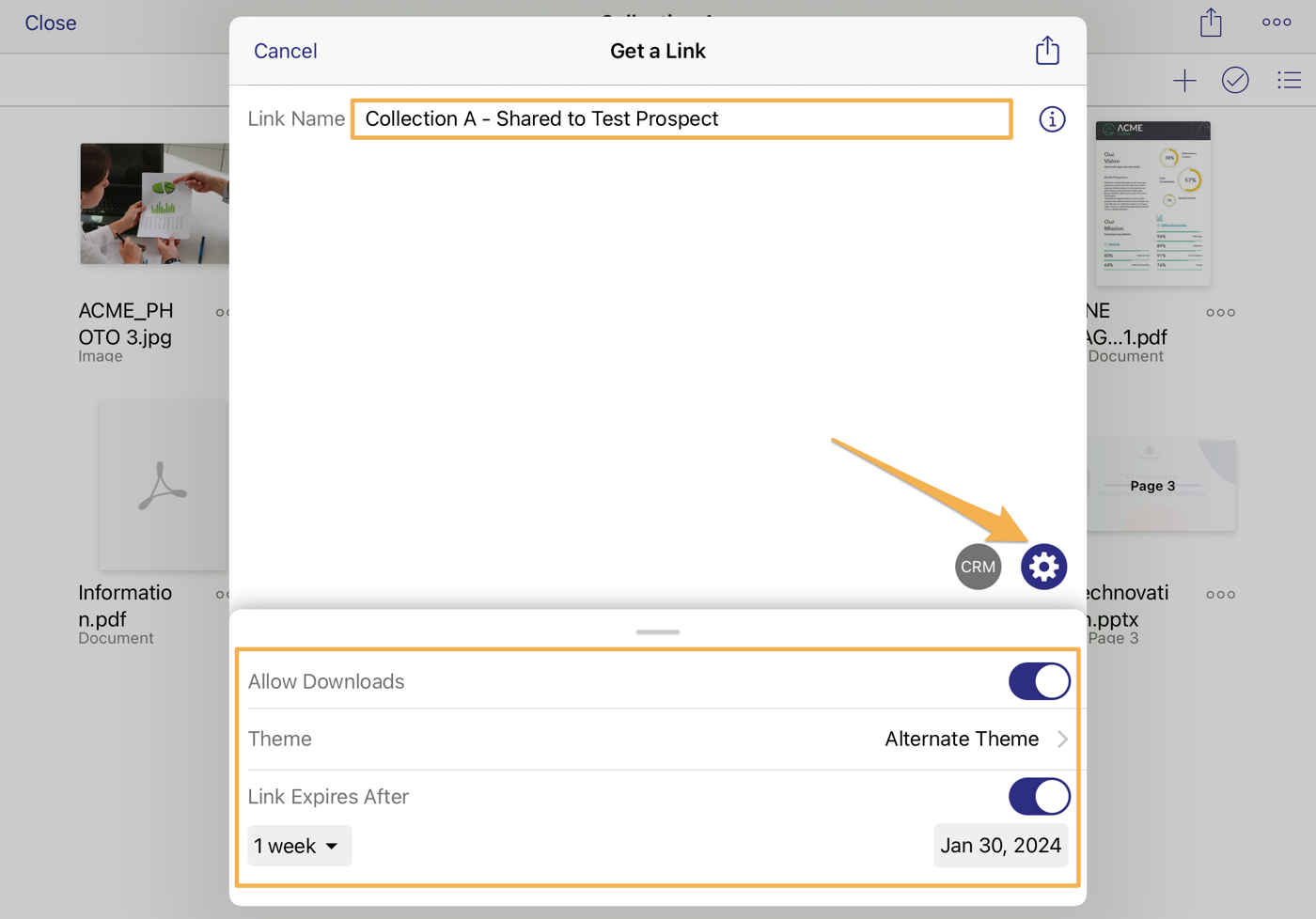 iOS_Share_Collection_Link_Settings.png