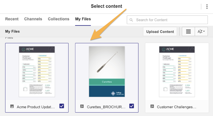Selected_assets_chrome.png