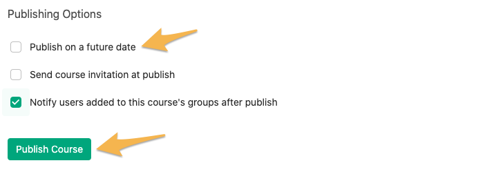 Publish_options.png
