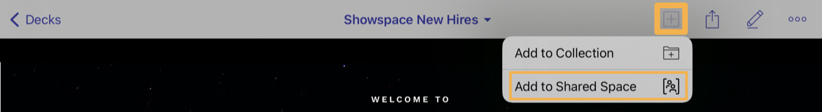 ios_Add_to_Shared_Space_asset_viewer.png