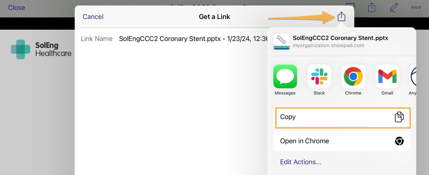 iOS_Copy_Link.png