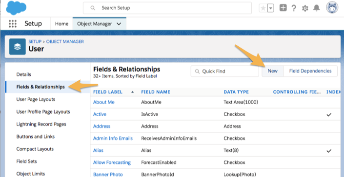 fields_and_relationships_then_new__1_.png