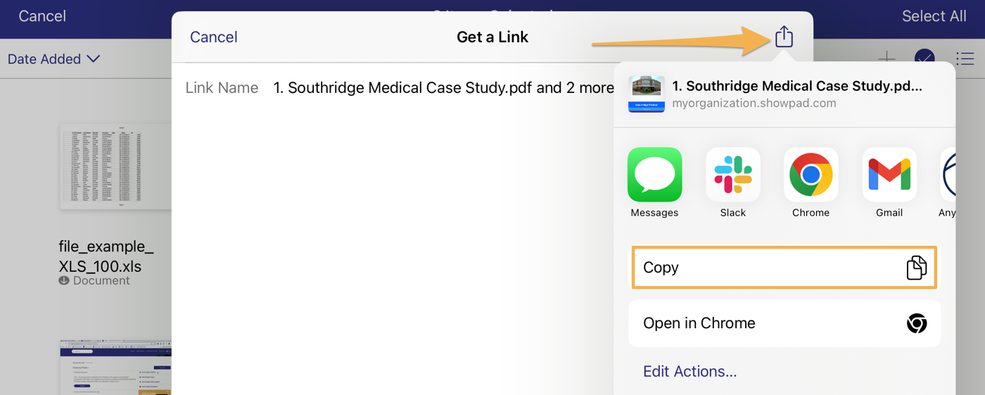 iOS_Copy_Link.png