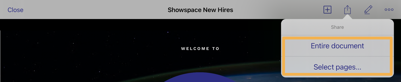 iOS_Entire_Doc_or_Select_pages.png