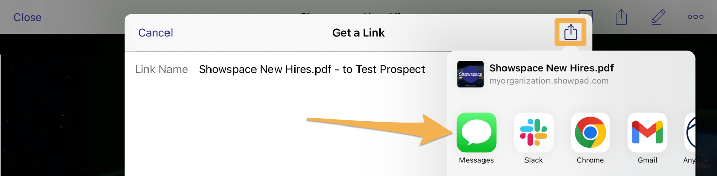 iOS_Copy_link.png