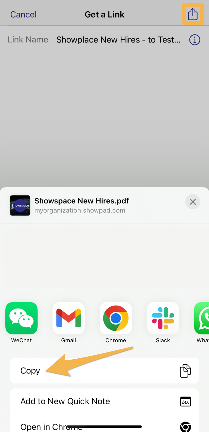 iPhone_Copy_Link.png