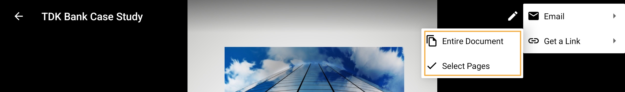 Android_EntireDoc_SelectedPages.png