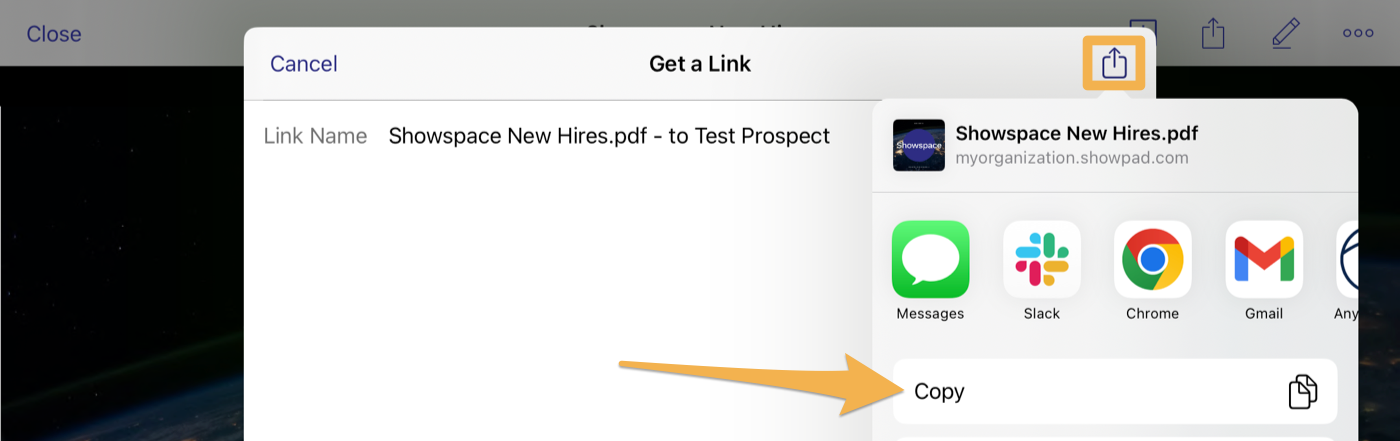 iOS_Copy_link.png