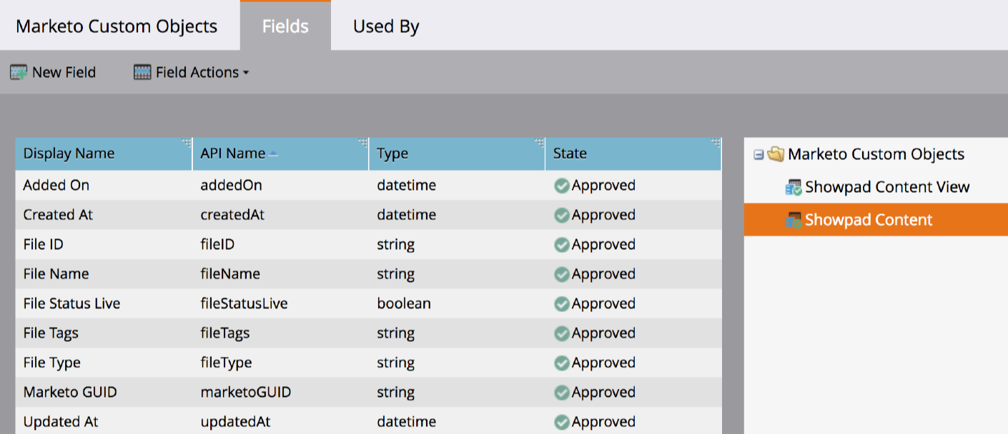 Custom Object Fields.png