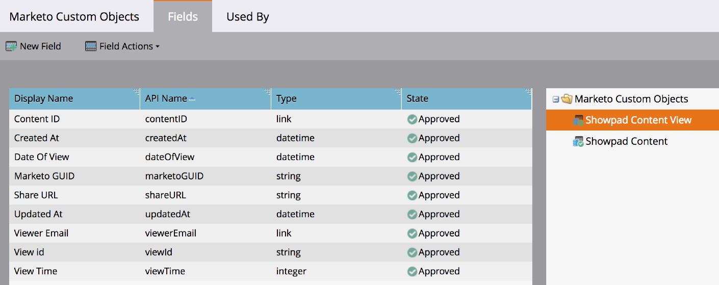 Custom Object View Fields.png