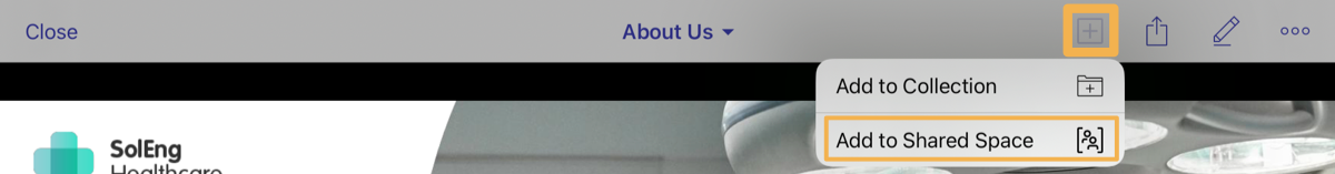 iOS_asset_viewer_add_to_shared_space.png