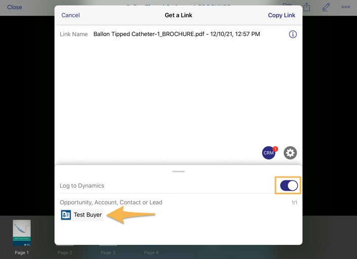 ios_copy_link.png