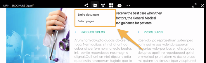 WDA_add_pages_or_doc.png