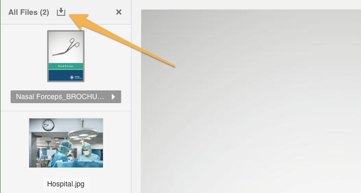 Download_assets_as_zip_file.png
