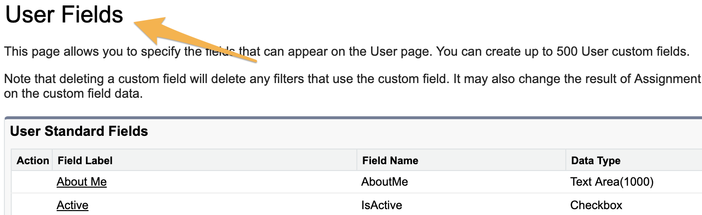 User_Fields___Salesforce_-_Developer_Edition.png
